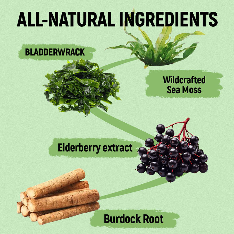 抗酸化剤のサポートのための亜鉛サプライヤー工場