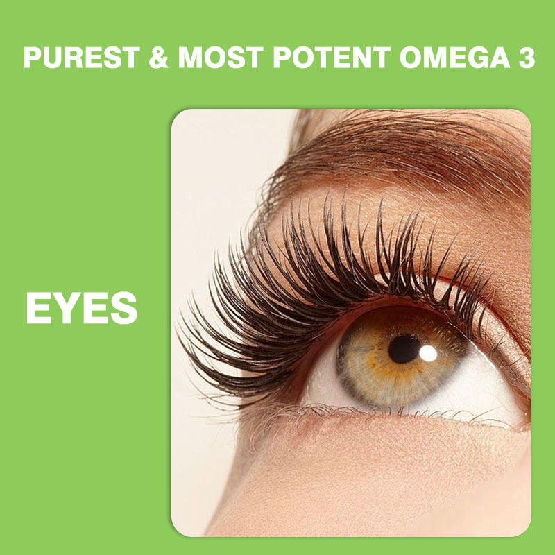 子供と大人のためのベストセラーオメガ3-6-9グミ ビタミンサプリメント 脳と心臓 DHAサプリメント ティーンエイジャー向け