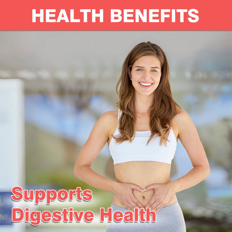 OEM/ODM 4g プリバイオティクス プロバイオティクス 歯磨きガム 60億 CFU 免疫力強化 抗酸化性のある腸内健康強化剤 大人