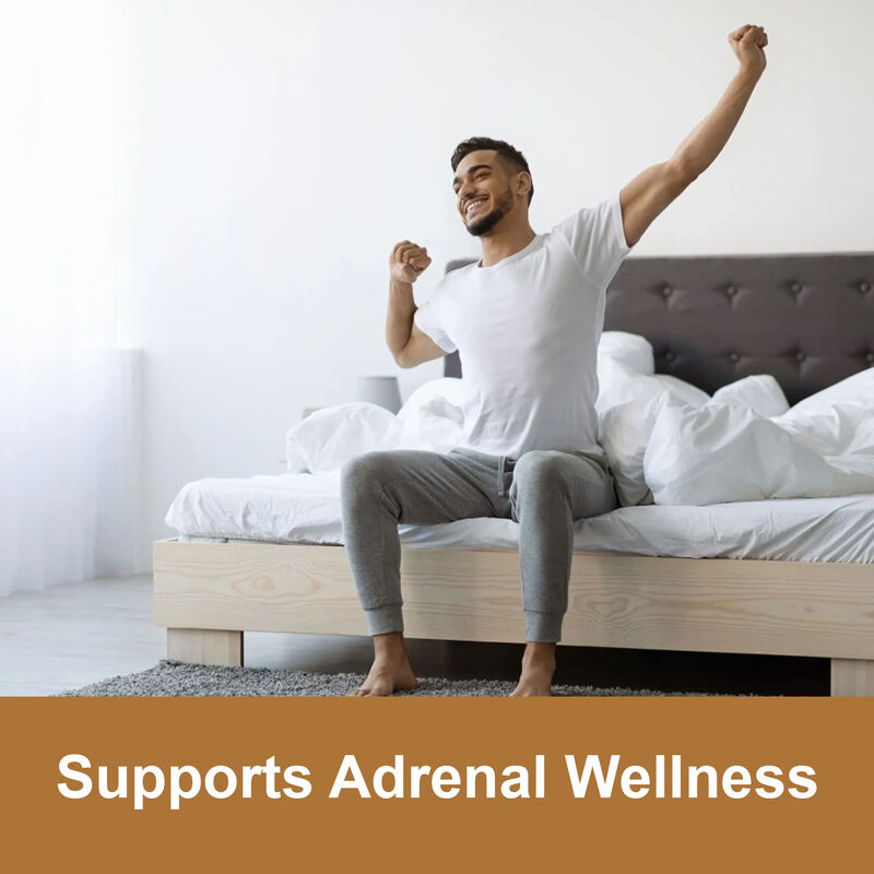 マカ根ガミズ 高品質 男性 エネルギー強化サプリメント 1800mg マカ抽出ガミズ 女性&男性