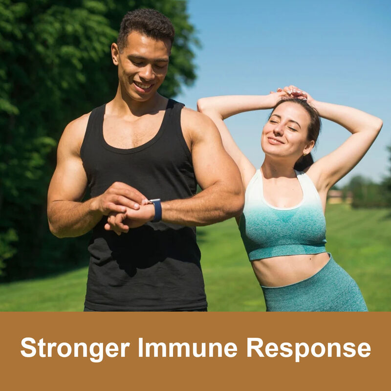 マカ根ガミズ 高品質 男性 エネルギー強化サプリメント 1800mg マカ抽出ガミズ 女性&男性