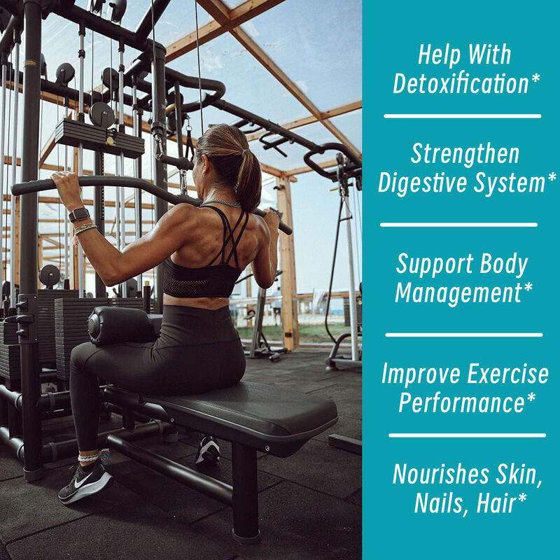 OEMプライベートブランド ケト ACV BHB カプセル メタボリックブースト 1400mg リンゴ酢 減量用 食物繊維