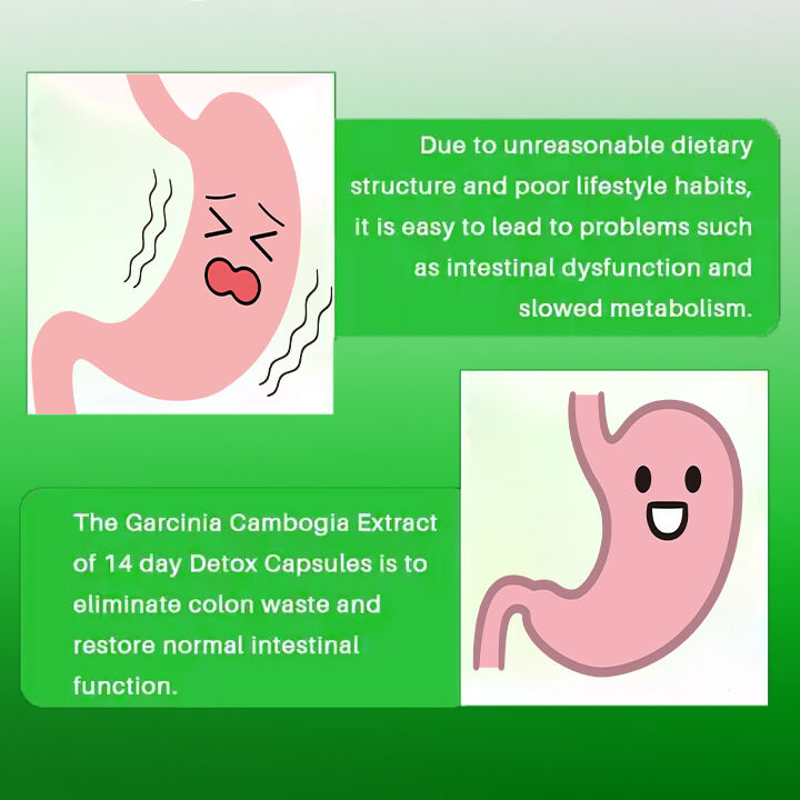 OEM ODM 14 日減肥カプセル 速効食欲抑制剤と脂肪燃焼剤 大人のための食材繊維
